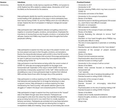Companions in the Abyss: A Feasibility and Acceptability Study of an Online Therapy Group for Healthcare Providers Working During the COVID-19 Pandemic
